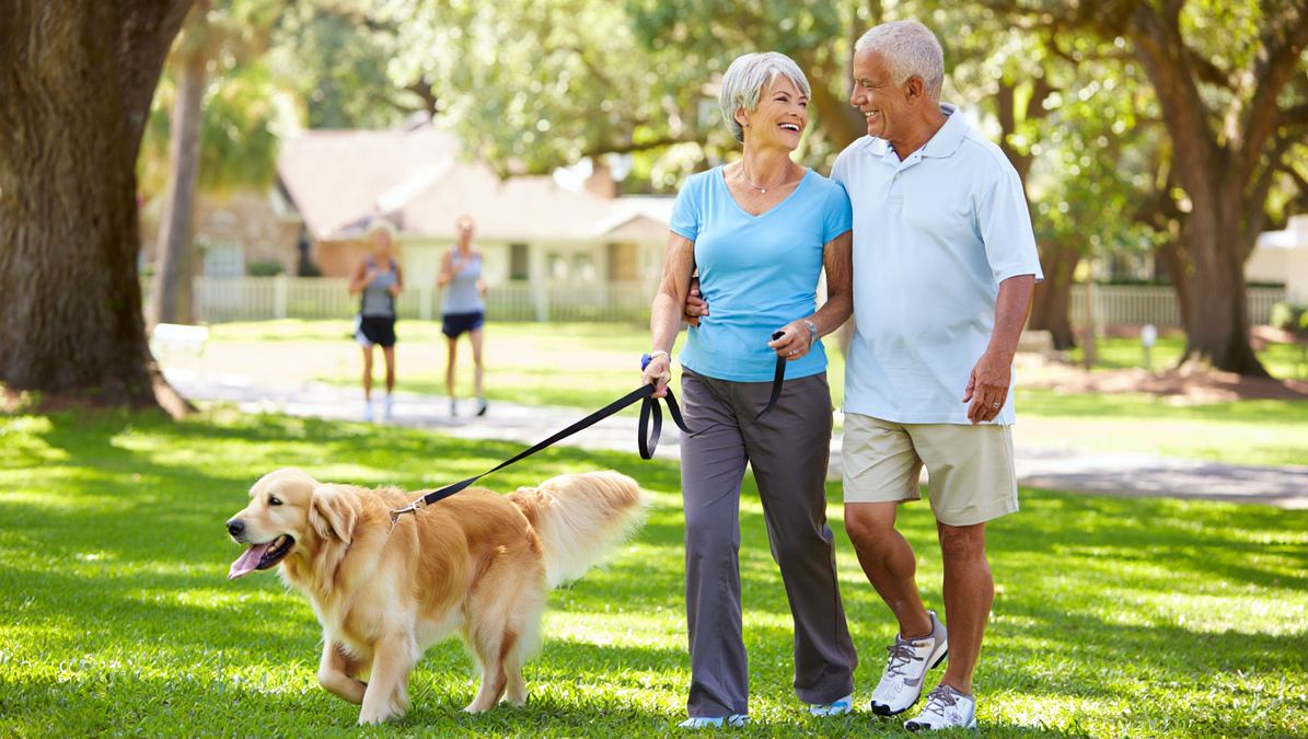 Senior Couple Walking Their Dog